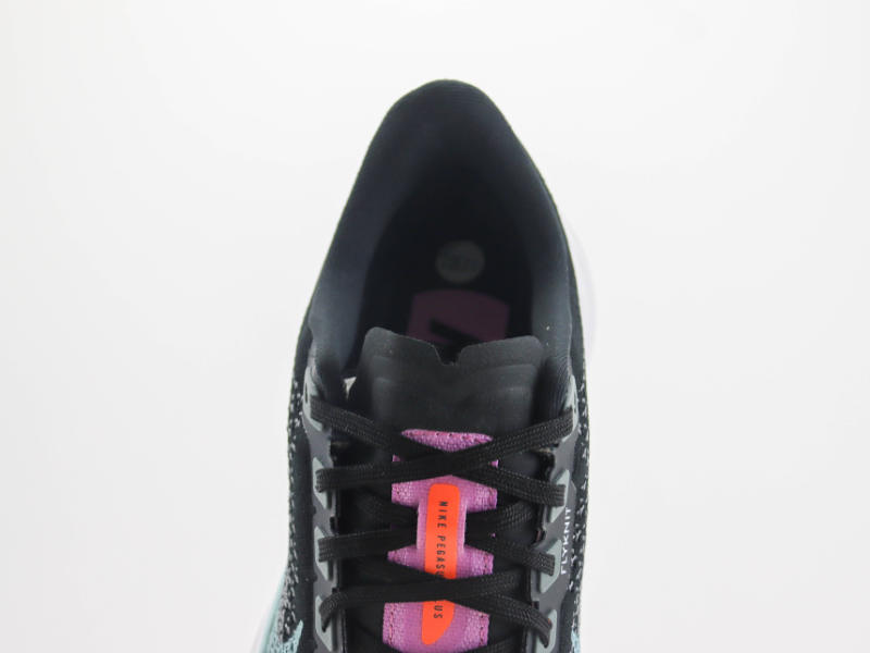 Nike Pegasus Plus "Purple"