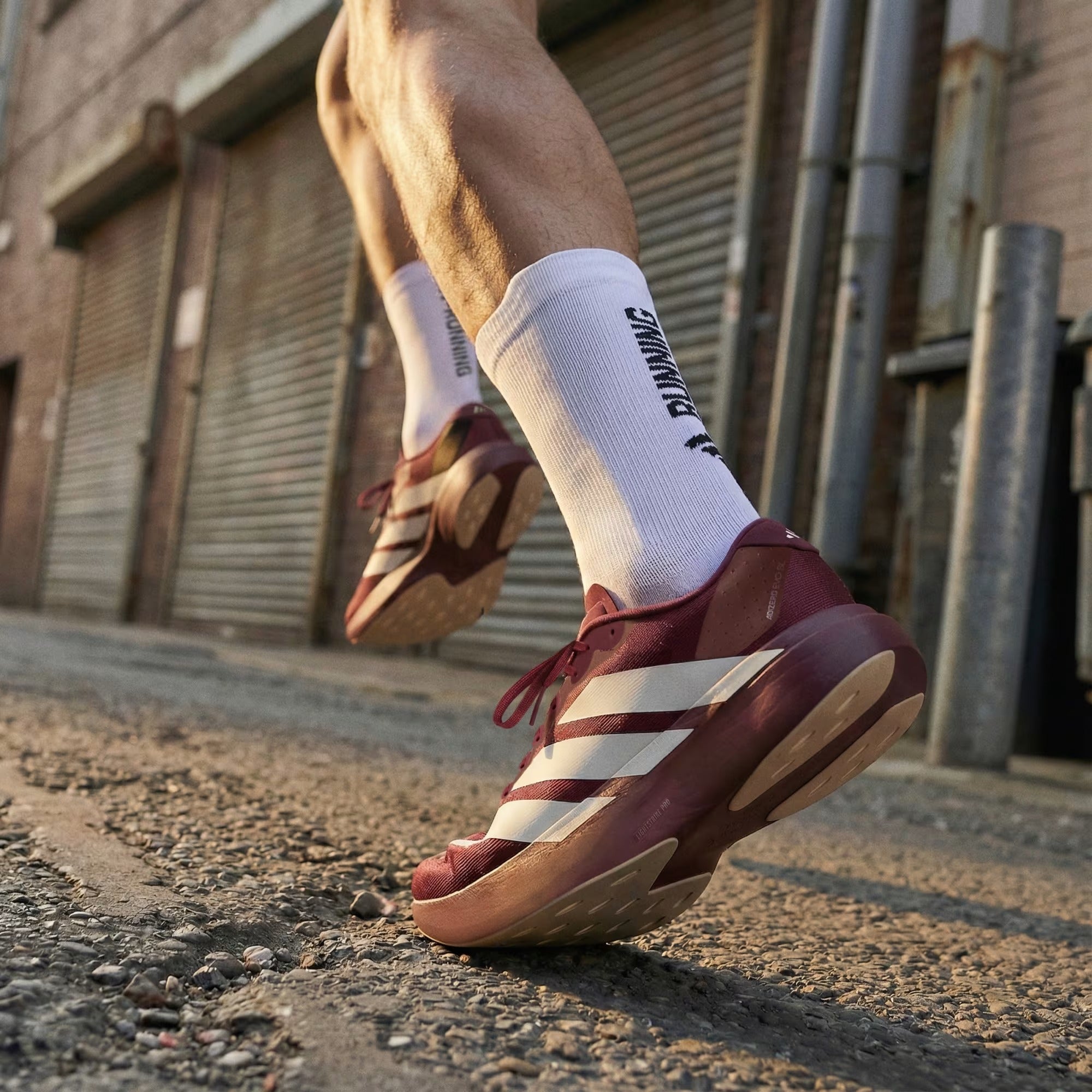 Adidas Adizero EVO SL ' Gold Metallic'
