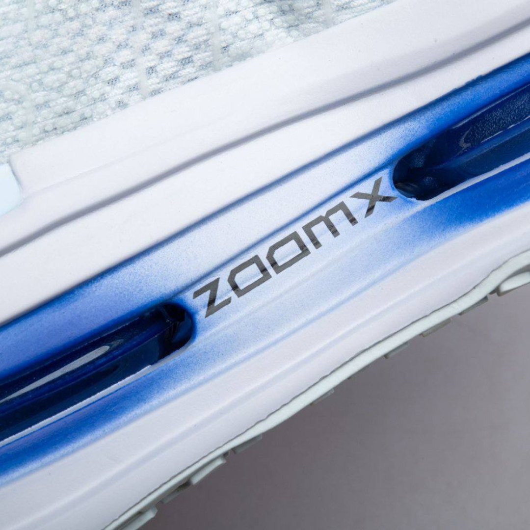 Nike Vomero Premium 'Blue Tint'