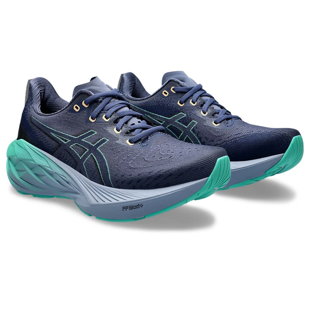 Asics NovaBlast  4 'Blue Expanse'