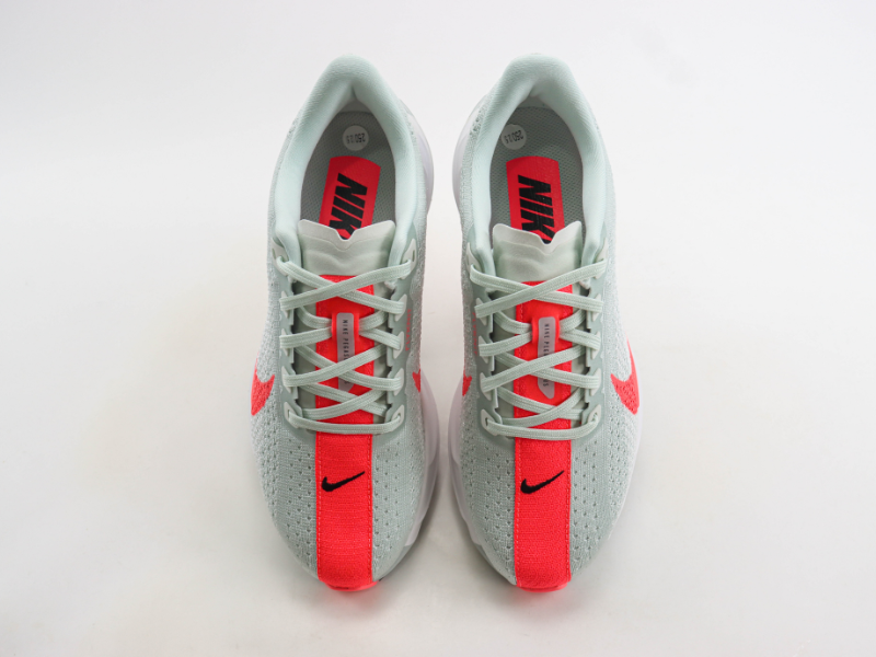 Pegasus Plus 'Orange'