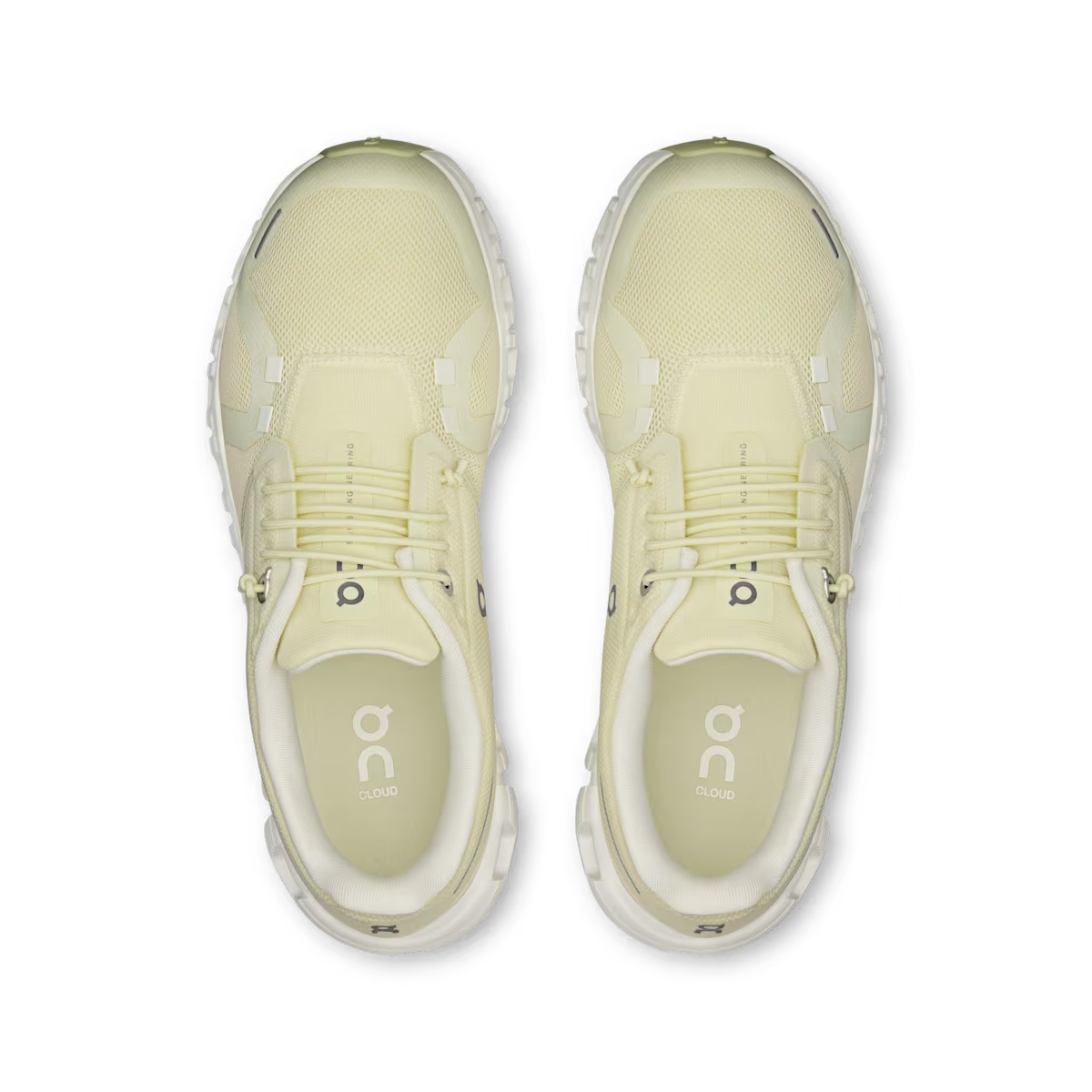 Cloud 6 'Seedling'