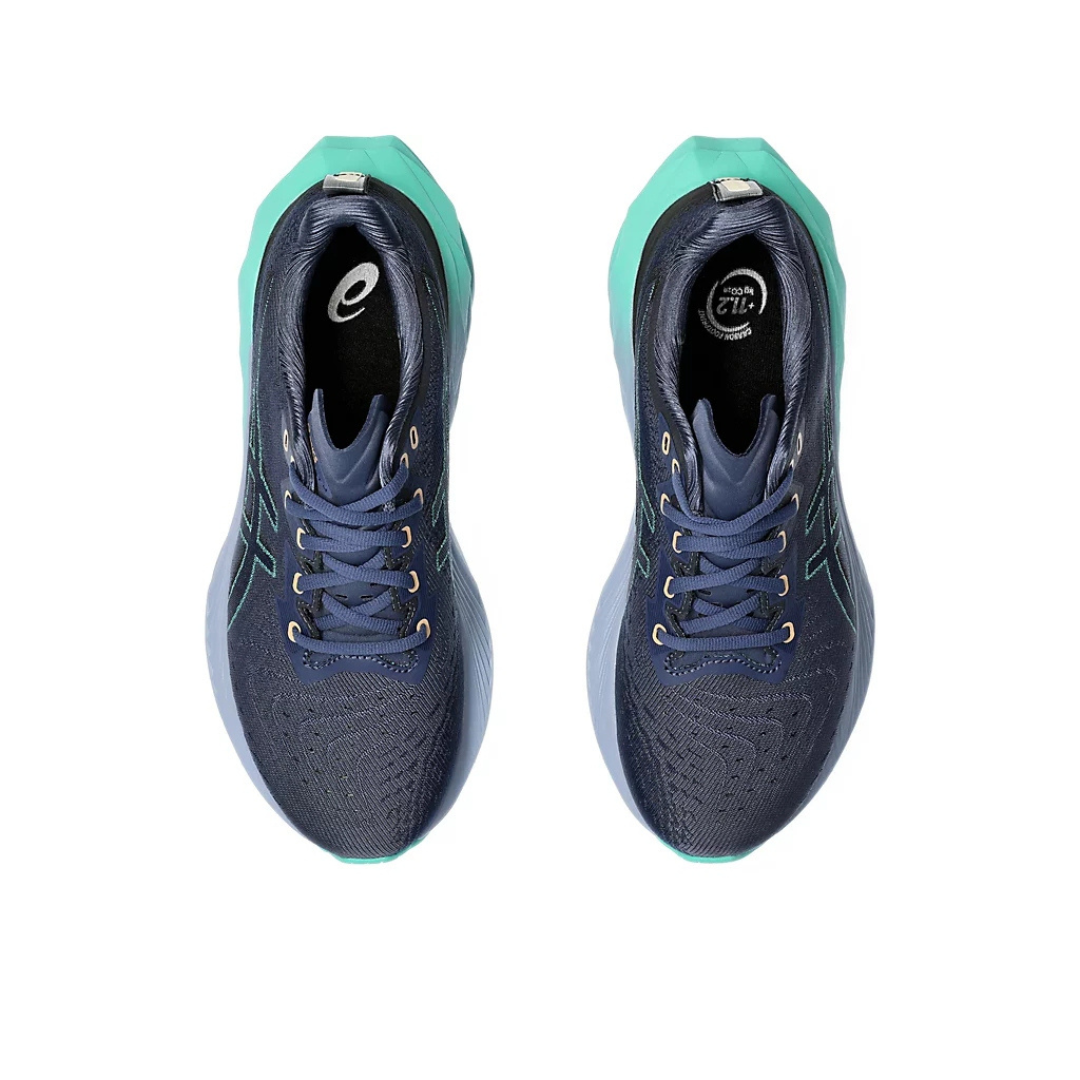 Asics NovaBlast  4 'Blue Expanse'