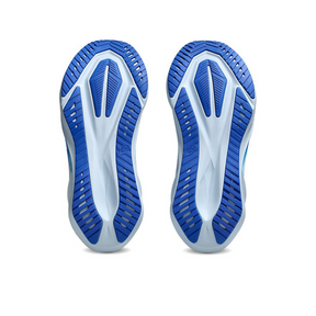 Asics NovaBlast 5 'Blue Fade'