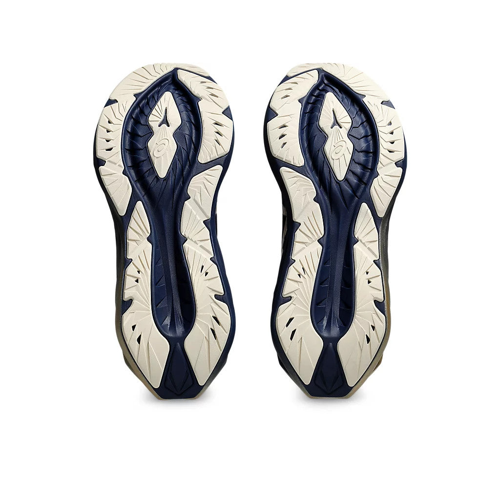 Asics NovaBlast 4 'Blue Expanse'